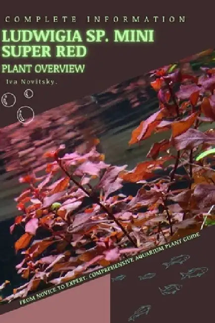 Ludwigia sp. Mini Super Red: From Novice to Expert. Comprehensive Aquarium Plants Guide by Iva Novitsky