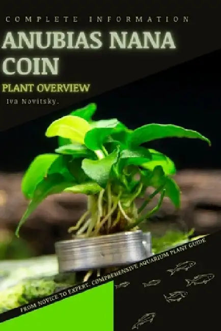 Anubias nana Coin: From Novice to Expert. Comprehensive Aquarium Plants Guide by Iva Novitsky