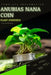 Anubias nana Coin: From Novice to Expert. Comprehensive Aquarium Plants Guide by Iva Novitsky