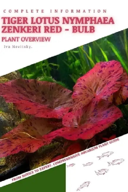 Tiger Lotus Nymphaea Zenkeri Red - Bulb: From Novice to Expert. Comprehensive Aquarium Plants Guide by Iva Novitsky