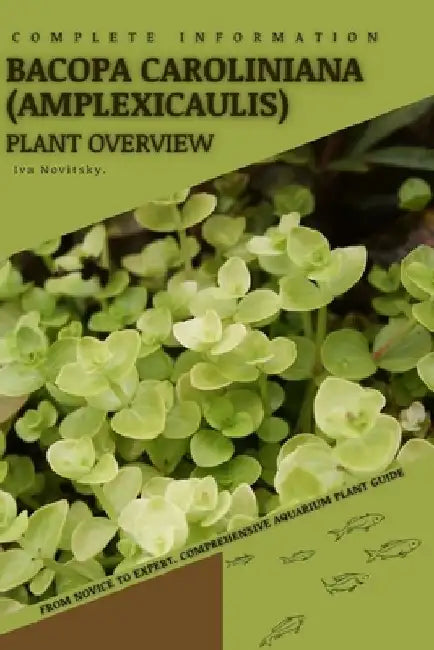 Bacopa Caroliniana (amplexicaulis): From Novice to Expert. Comprehensive Aquarium Plants Guide by Iva Novitsky
