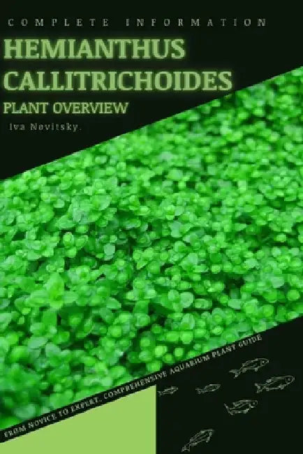 Hemianthus Callitrichoides: From Novice to Expert. Comprehensive Aquarium Plants Guide by Iva Novitsky