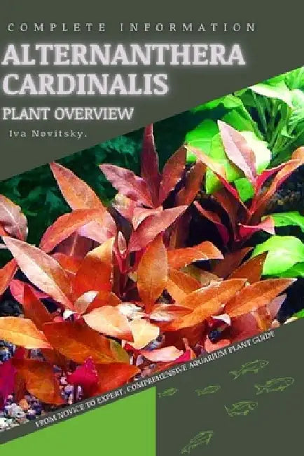 Alternanthera Cardinalis: From Novice to Expert. Comprehensive Aquarium Plants Guide by Iva Novitsky