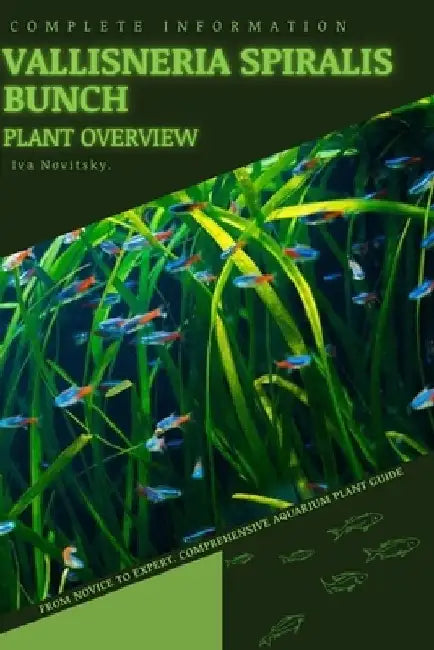 Vallisneria Spiralis Bunch: From Novice to Expert. Comprehensive Aquarium Plants Guide by Iva Novitsky