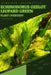 Echinodorus Ozelot Leopard Green: From Novice to Expert. Comprehensive Aquarium Plants Guide by Iva Novitsky