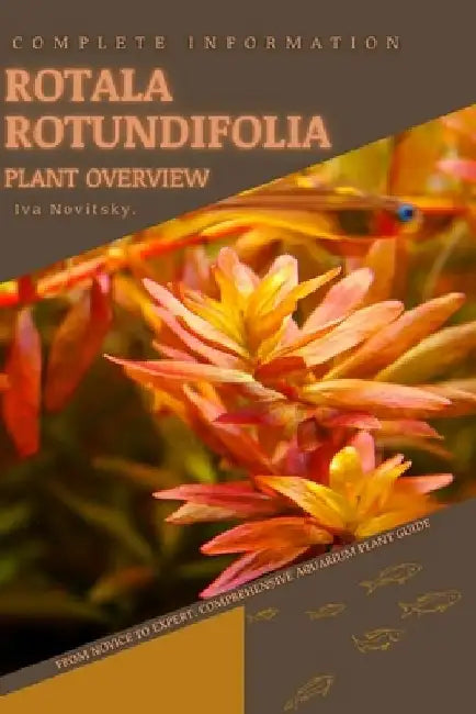 Rotala Rotundifolia: From Novice to Expert. Comprehensive Aquarium Plants Guide by Iva Novitsky