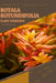 Rotala Rotundifolia: From Novice to Expert. Comprehensive Aquarium Plants Guide by Iva Novitsky