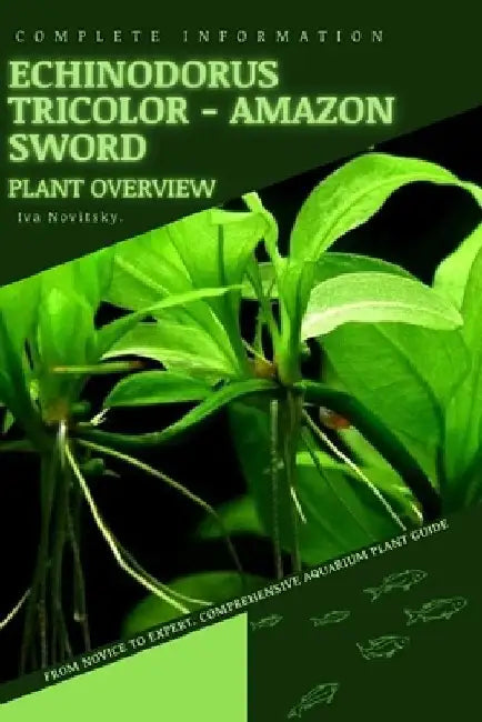 Echinodorus Tricolor - Amazon Sword: From Novice to Expert. Comprehensive Aquarium Plants Guide by Iva Novitsky