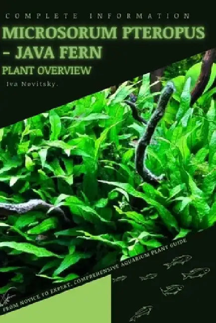 Microsorum Pteropus - Java Fern: From Novice to Expert. Comprehensive Aquarium Plants Guide by Iva Novitsky