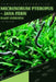 Microsorum Pteropus - Java Fern: From Novice to Expert. Comprehensive Aquarium Plants Guide by Iva Novitsky