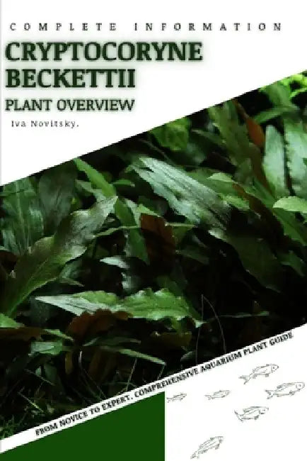 Cryptocoryne Beckettii: From Novice to Expert. Comprehensive Aquarium Plants Guide by Iva Novitsky