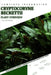 Cryptocoryne Beckettii: From Novice to Expert. Comprehensive Aquarium Plants Guide by Iva Novitsky