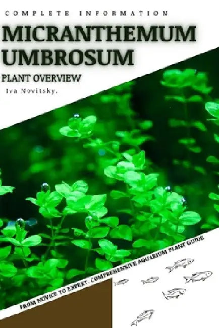 Micranthemum Umbrosum: From Novice to Expert. Comprehensive Aquarium Plants Guide by Iva Novitsky