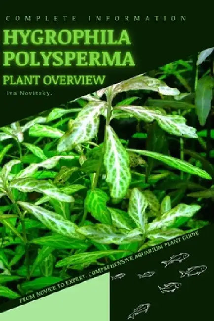 Hygrophila Polysperma: From Novice to Expert. Comprehensive Aquarium Plants Guide by Iva Novitsky