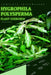 Hygrophila Polysperma: From Novice to Expert. Comprehensive Aquarium Plants Guide by Iva Novitsky