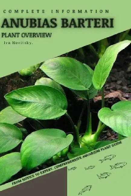 Anubias Barteri: From Novice to Expert. Comprehensive Aquarium Plants Guide by Iva Novitsky