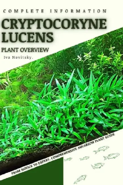 Cryptocoryne Lucens: From Novice to Expert. Comprehensive Aquarium Plants Guide by Iva Novitsky