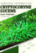 Cryptocoryne Lucens: From Novice to Expert. Comprehensive Aquarium Plants Guide by Iva Novitsky