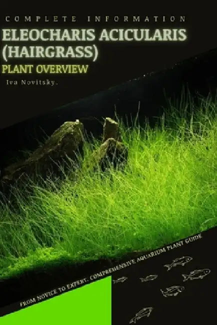 Eleocharis Acicularis (Hairgrass): From Novice to Expert. Comprehensive Aquarium Plants Guide by Iva Novitsky