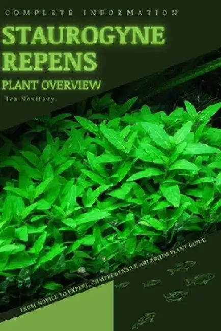 Staurogyne Repens: From Novice to Expert. Comprehensive Aquarium Plants Guide by Iva Novitsky