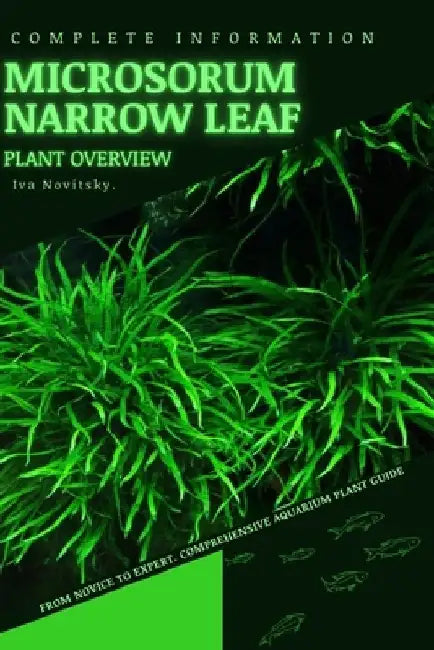 Microsorum Narrow Leaf: From Novice to Expert. Comprehensive Aquarium Plants Guide by Iva Novitsky