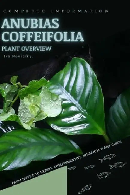 Anubias Coffeifolia: From Novice to Expert. Comprehensive Aquarium Plants Guide by Iva Novitsky