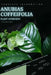 Anubias Coffeifolia: From Novice to Expert. Comprehensive Aquarium Plants Guide by Iva Novitsky