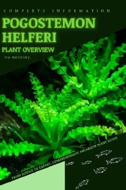 Pogostemon Helferi: From Novice to Expert. Comprehensive Aquarium Plants Guide by Iva Novitsky