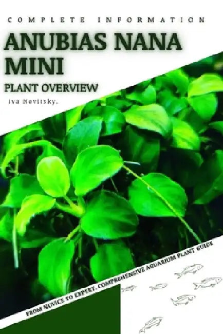 Anubias Nana Mini: From Novice to Expert. Comprehensive Aquarium Plants Guide by Iva Novitsky