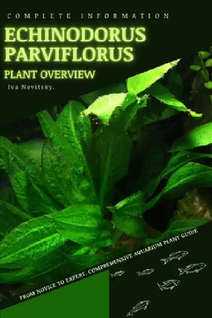 Echinodorus parviflorus: From Novice to Expert. Comprehensive Aquarium Plants Guide by Iva Novitsky