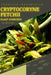 Cryptocoryne Petchii: From Novice to Expert. Comprehensive Aquarium Plants Guide by Iva Novitsky