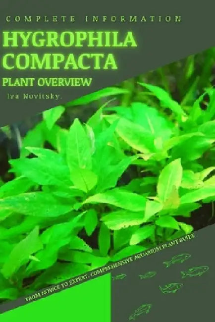 Hygrophila Compacta: From Novice to Expert. Comprehensive Aquarium Plants Guide by Iva Novitsky