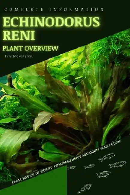Echinodorus Reni: From Novice to Expert. Comprehensive Aquarium Plants Guide by Iva Novitsky