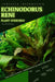 Echinodorus Reni: From Novice to Expert. Comprehensive Aquarium Plants Guide by Iva Novitsky