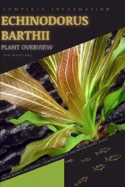 Echinodorus Barthii: From Novice to Expert. Comprehensive Aquarium Plants Guide by Iva Novitsky