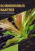 Echinodorus Barthii: From Novice to Expert. Comprehensive Aquarium Plants Guide by Iva Novitsky
