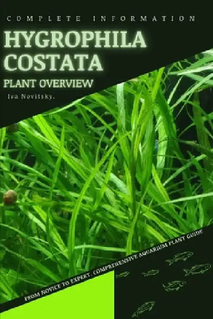 Hygrophila Costata: From Novice to Expert. Comprehensive Aquarium Plants Guide by Iva Novitsky