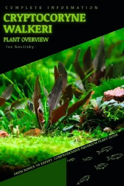 Cryptocoryne Walkeri: From Novice to Expert. Comprehensive Aquarium Plants Guide by Iva Novitsky