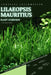 Lilaeopsis Mauritius: From Novice to Expert. Comprehensive Aquarium Plants Guide by Iva Novitsky
