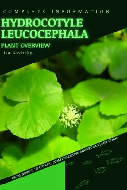 Hydrocotyle leucocephala: From Novice to Expert. Comprehensive Aquarium Plants Guide by Iva Novitsky