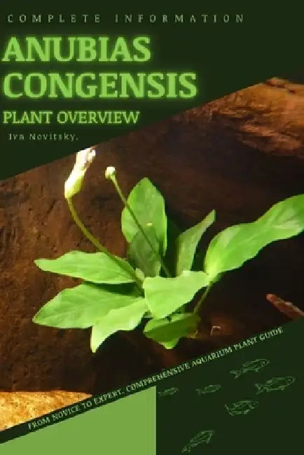 Anubias Congensis: From Novice to Expert. Comprehensive Aquarium Plants Guide by Iva Novitsky