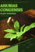 Anubias Congensis: From Novice to Expert. Comprehensive Aquarium Plants Guide by Iva Novitsky