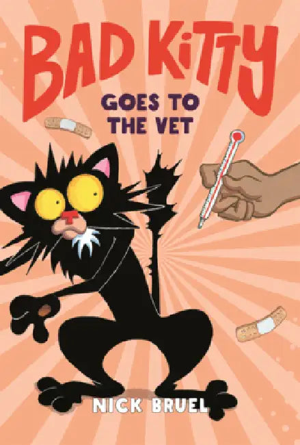 Bad Kitty Goes to the Vet by Nick Bruel, Nick Bruel