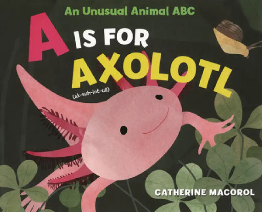 A is for Axolotl: An Unusual Animal ABC by Catherine Macorol, Catherine Macorol