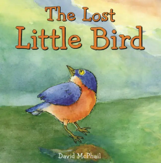 Lost Little Bird by David McPhail, David McPhail