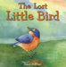 Lost Little Bird by David McPhail, David McPhail