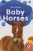 Baby Horses by Dana Fleming, Betsy Rathburn