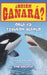 Orca vs. Tiburon Blanco by Jerry Pallotta, Rob Bolster