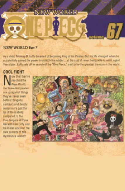 Cool Fight. (One Piece, Vol. 67) by Eiichiro Oda