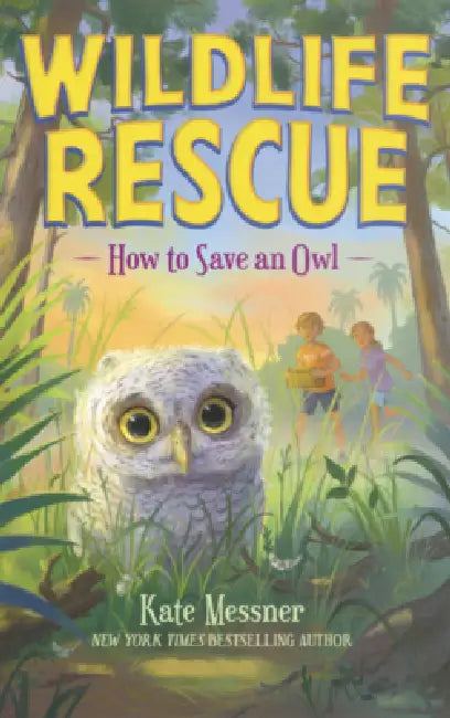 How to Save an Owl by Kate Messner